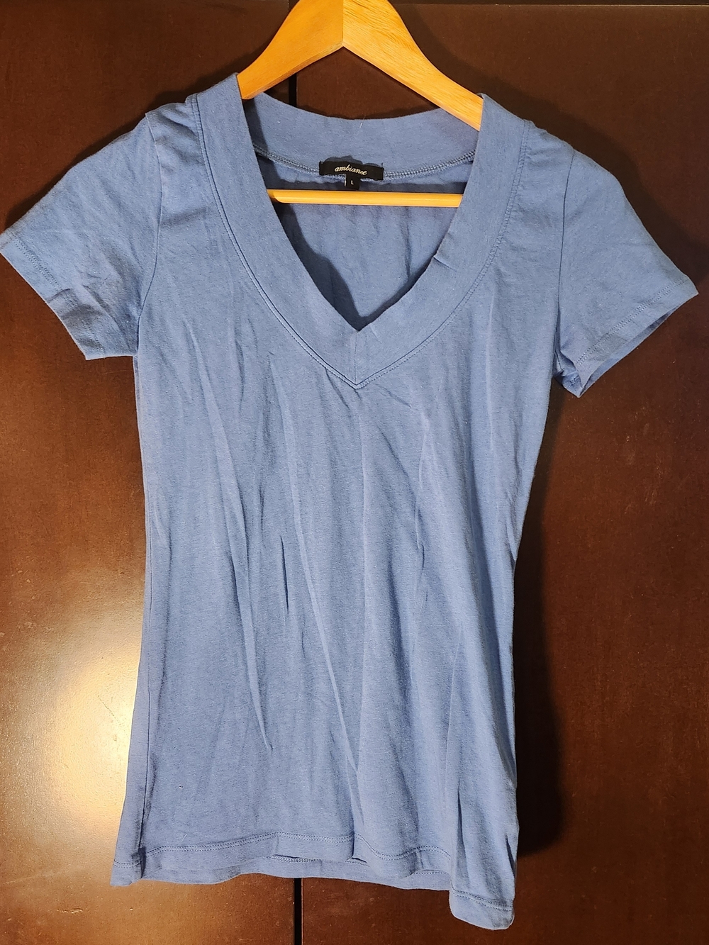 Ambiance V-Neck Tee - Blue Women Size Large